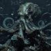 Танцы на минном поле: kraken darknet, зеркала и вечная охота за анонимностью